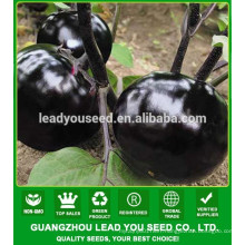 NE07 Yuanyuan round shape black eggpalnt seeds factory